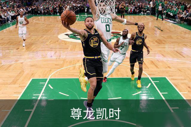 尊龙凯时 公司简介